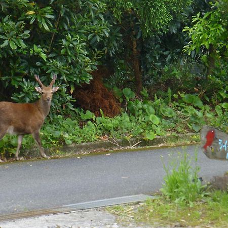 Tomarigi Yakushima (Kagoshima) Exterior foto