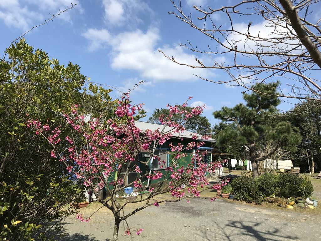 Tomarigi Yakushima (Kagoshima) Exterior foto
